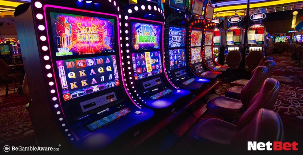 ddbr|Bingo Online – Jogue Agora no Cassino Online