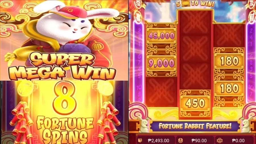ddbr|Bingo Online – Experimente Grátis no Cassino Confiável